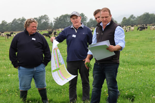 Ang Angelino (nutrition consultant AAC), Hugh McMullan (Animal Mineral Solutions), Dave Huggins (Huggins Nutrition Services) and Dan Huggins (right, Maxi Cow Consulting) compare notes.