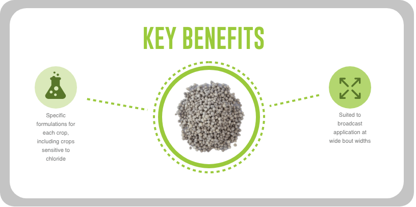 rustica key benefits | Rustica® | DBC rustica key benefits | Rustica® | DBC
