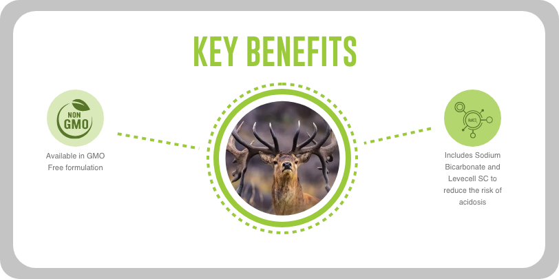 velveting nats key benefits | Velveting Nut | DBC velveting nats key benefits | Velveting Nut | DBC