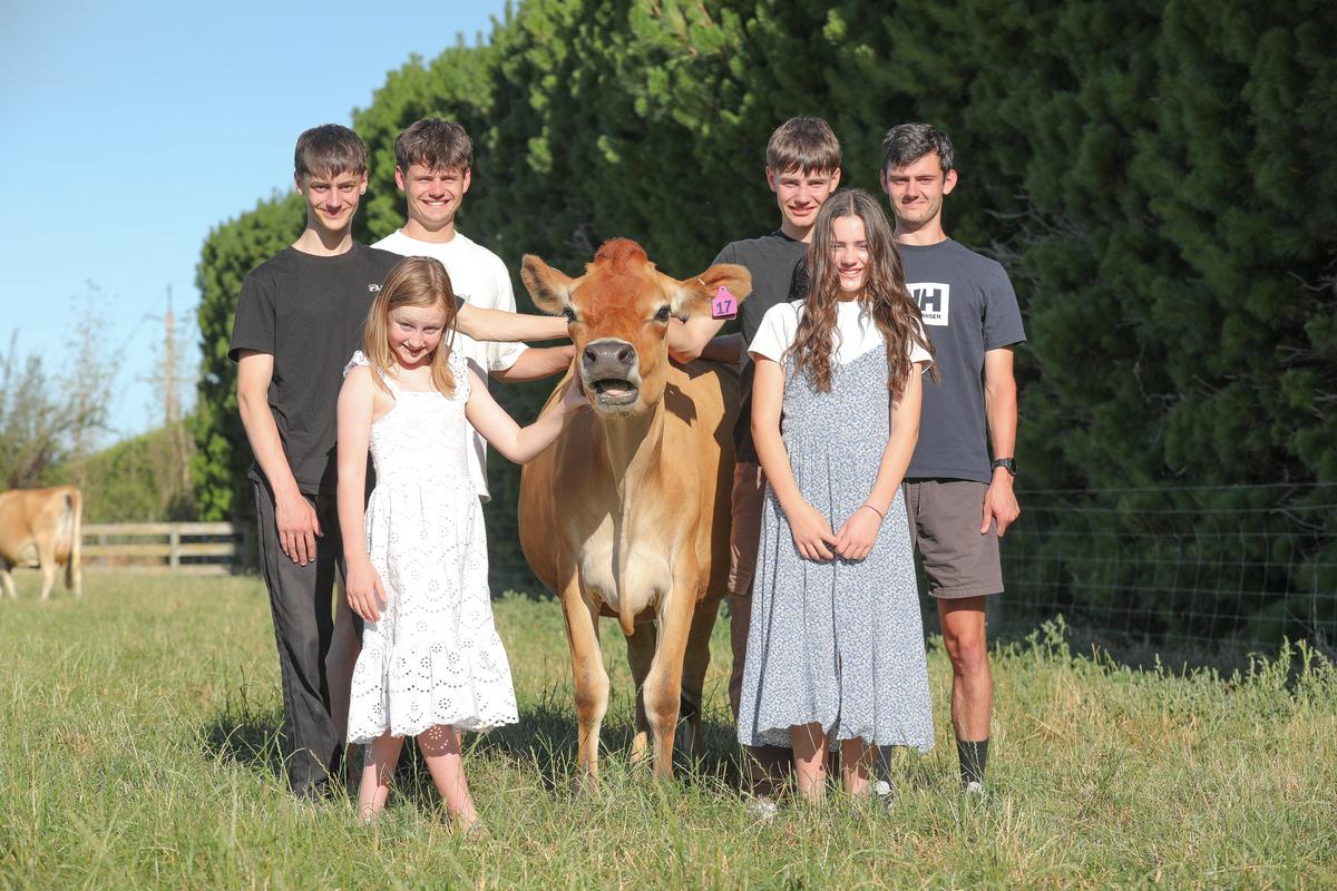 Peter and Claire’s six children also enjoy the cows. Photo: Evie Tomlinson.