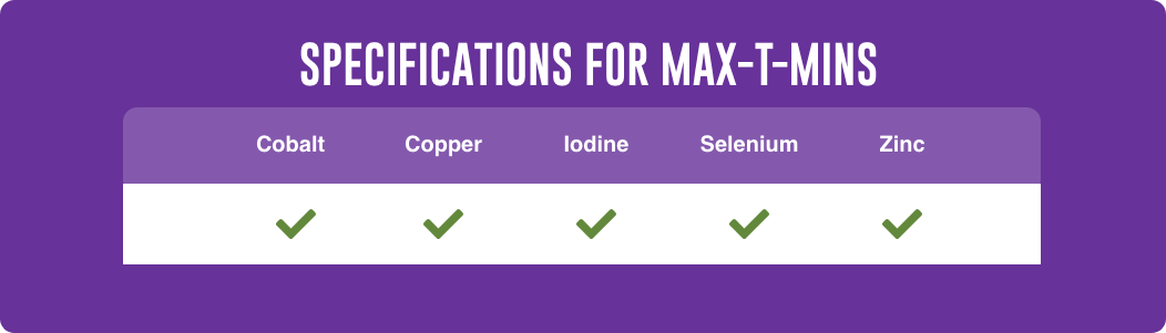 specification Max T Mins | Max-T-Mins | DBC specification Max T Mins | Max-T-Mins | DBC